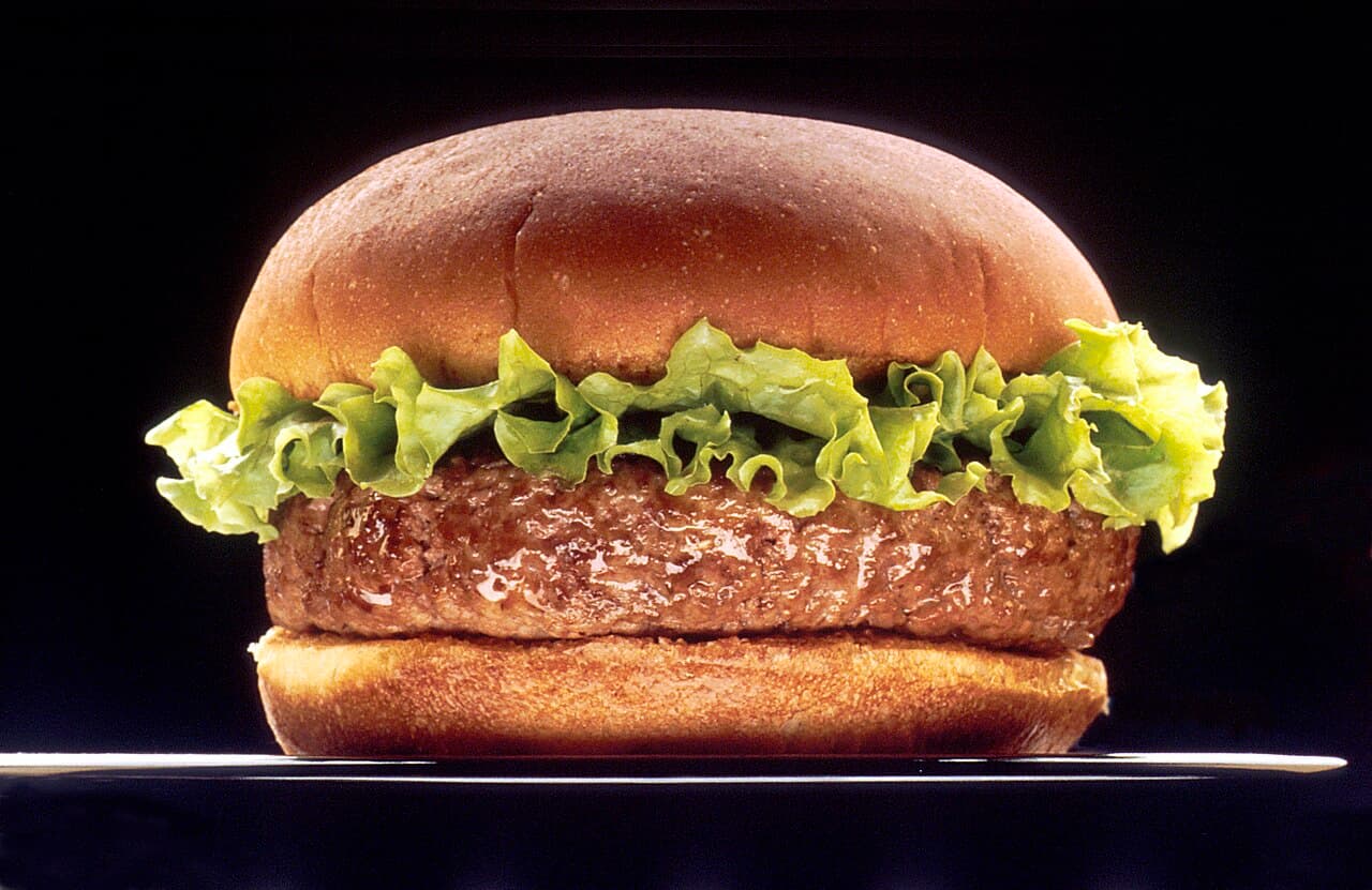 Tavuk Burger